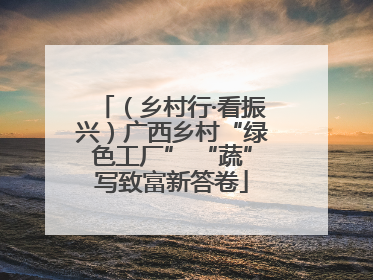 （乡村行·看振兴）广西乡村“绿色工厂” “蔬”写致富新答卷
