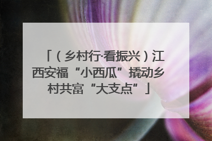 （乡村行·看振兴）江西安福“小西瓜”撬动乡村共富“大支点”