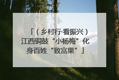 （乡村行·看振兴）江西铜鼓“小杨梅”化身百姓“致富果”