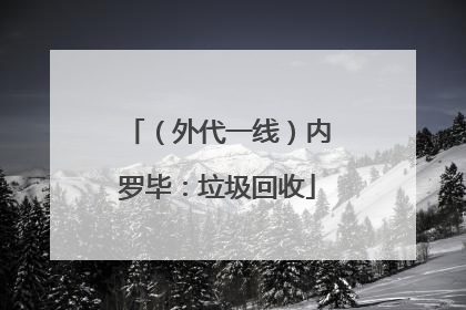（外代一线）内罗毕：垃圾回收