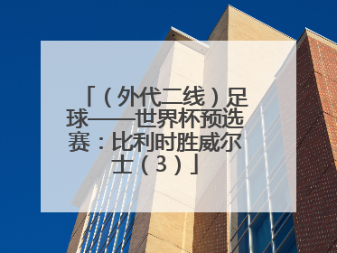 （外代二线）足球——世界杯预选赛：比利时胜威尔士（3）