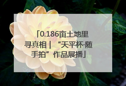 0.186亩土地里寻真相｜“天平杯·随手拍”作品展播
