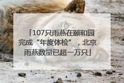 107只雨燕在颐和园完成“年度体检”，北京雨燕数量已超一万只
