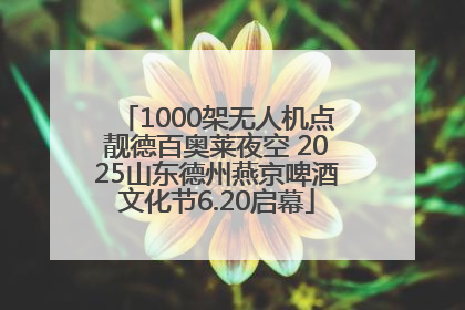 1000架无人机点靓德百奥莱夜空 2025山东德州燕京啤酒文化节6.20启幕