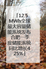 12.5MWh全球最大容量储能系统发布 合肥一季度储能系统同比增长425%