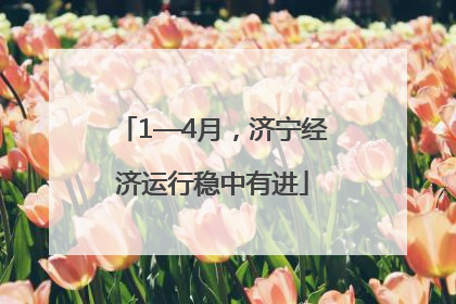 1—4月，济宁经济运行稳中有进