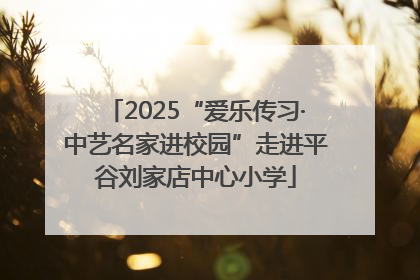 2025“爱乐传习·中艺名家进校园”走进平谷刘家店中心小学