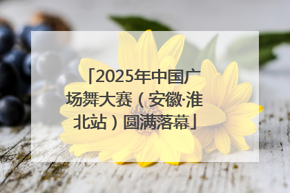 2025年中国广场舞大赛（安徽·淮北站）圆满落幕
