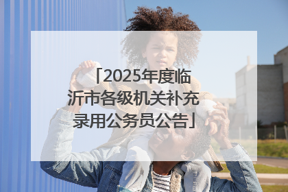 2025年度临沂市各级机关补充录用公务员公告