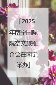 2025年南宁国际航空文旅推介会在南宁举办