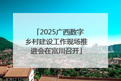 2025广西数字乡村建设工作现场推进会在富川召开