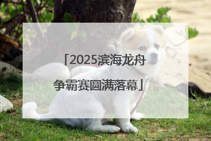 2025滨海龙舟争霸赛圆满落幕