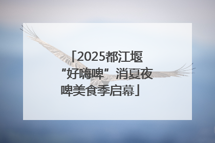 2025都江堰“好嗨啤”消夏夜啤美食季启幕