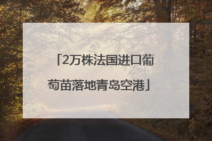 2万株法国进口葡萄苗落地青岛空港