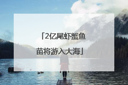 2亿尾虾蟹鱼苗将游入大海