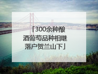 300余种酿酒葡萄品种相继落户贺兰山下