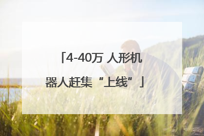 4-40万 人形机器人赶集“上线”