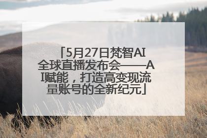 5月27日梵智AI全球直播发布会——AI赋能，打造高变现流量账号的全新纪元