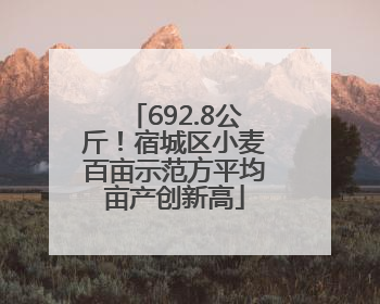 692.8公斤！宿城区小麦百亩示范方平均亩产创新高