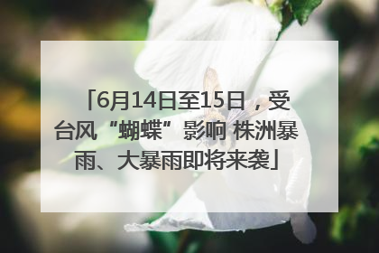 6月14日至15日，受台风“蝴蝶”影响 株洲暴雨、大暴雨即将来袭