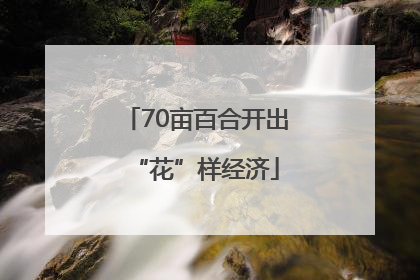 70亩百合开出“花”样经济