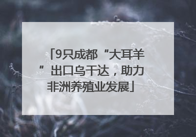 9只成都“大耳羊”出口乌干达，助力非洲养殖业发展