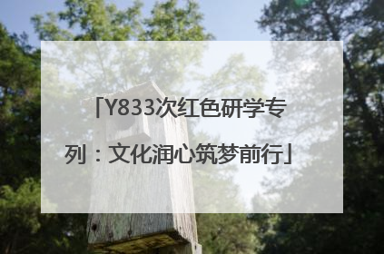 Y833次红色研学专列：文化润心筑梦前行